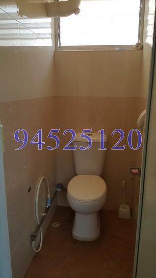 Blk 501 Bedok North Street 3 (Bedok), HDB 3 Rooms #158251692